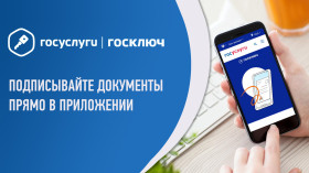 Установите приложение «Госключ» для полезных сервисов.